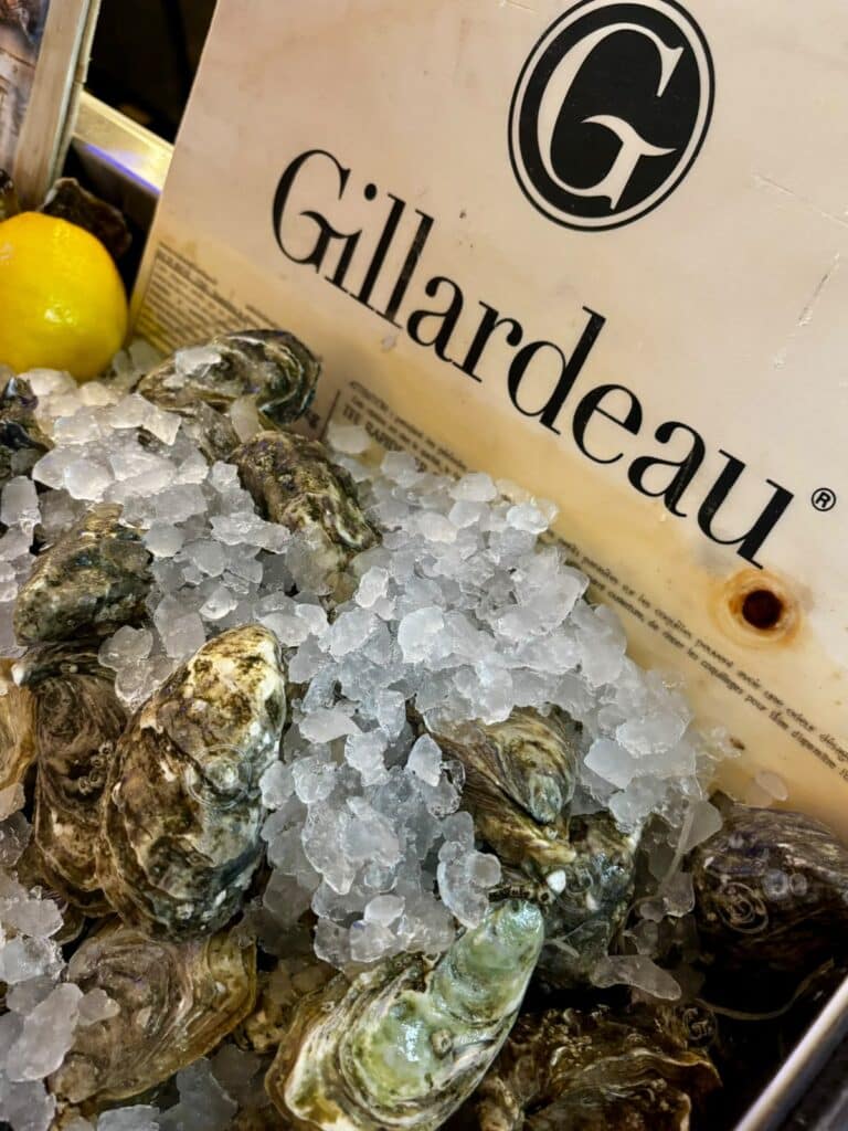 Oysters in ice